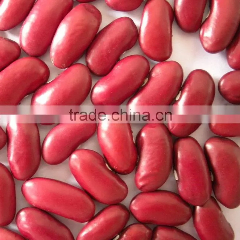 British Red Kidney Beans Crop 2015