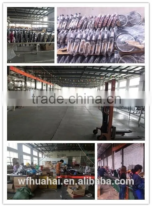 Customed Cheap Wholesale Chain Link Alloy Wheel 27 Speed Bicycle