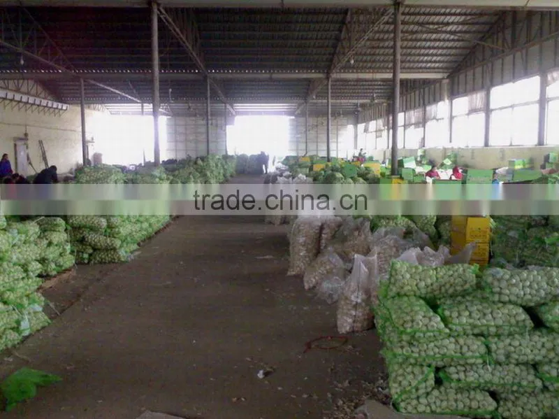 Jining Fangda Import And Export Corporation company overview - view 3