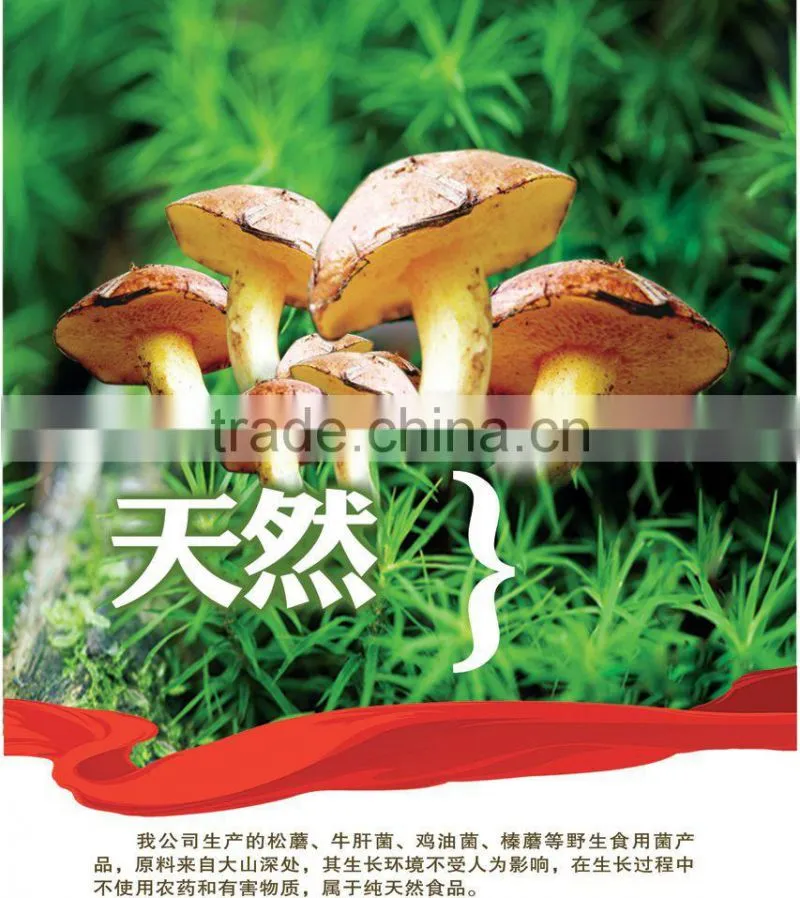 Suillus granulatus mushrooms in brine
