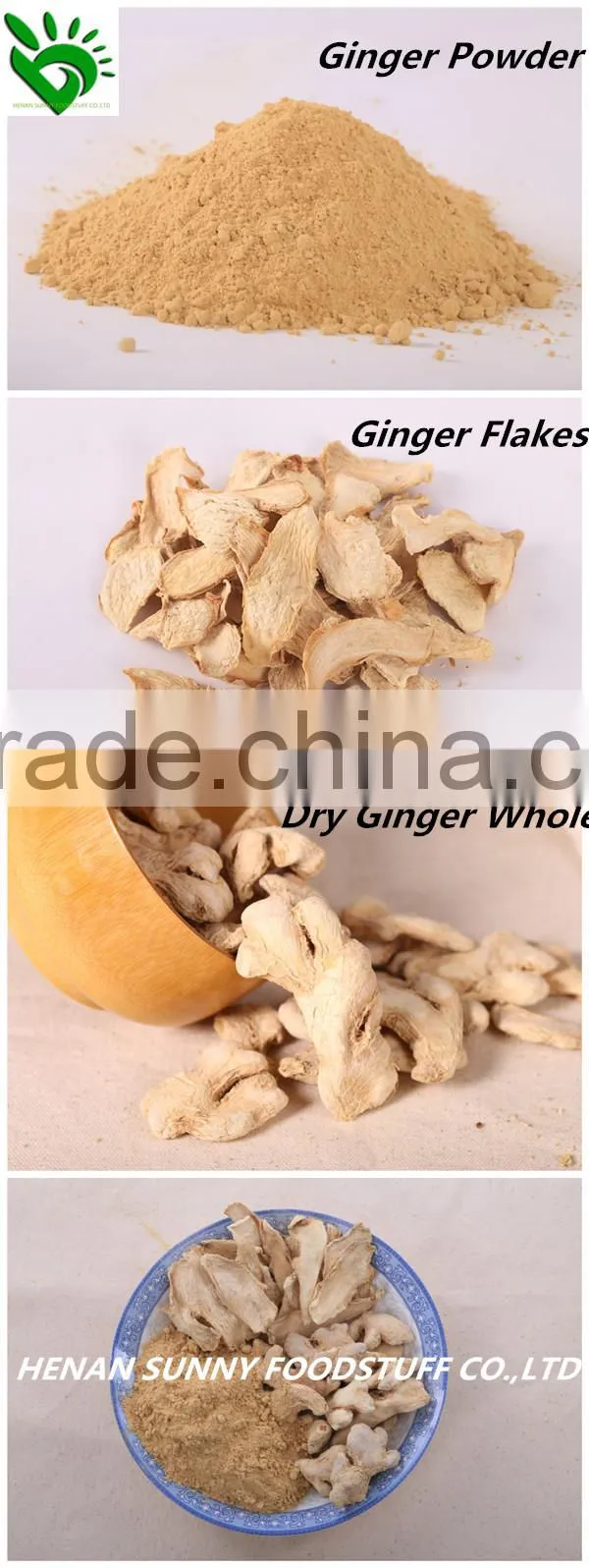 Professional Supplier Dried Ginger Flakes