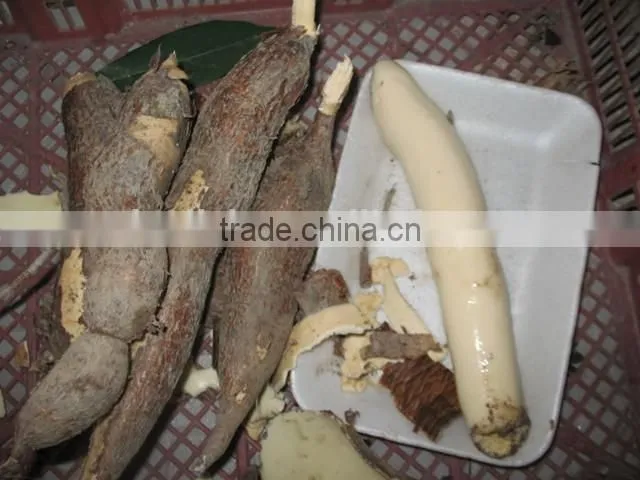 cassava peeler and slicer /cassava peeling machine