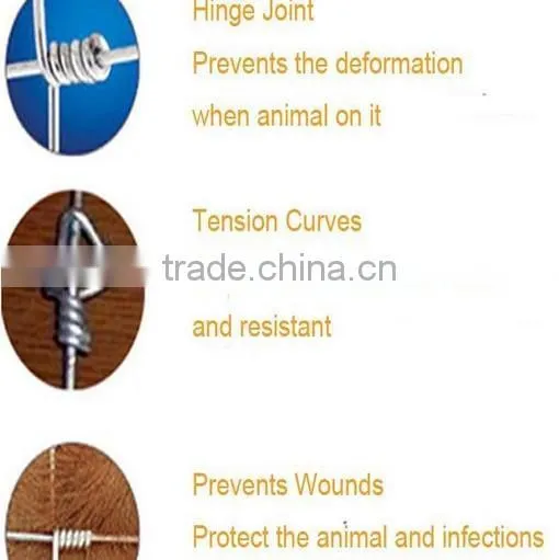 Hinged Joint Wire Field Fence For Farm,Forest ,Wild Dog/Farm Fence