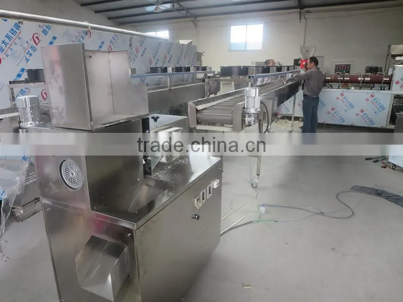 Automatic Twist Treats Dental Care Pet Dog food manufacturing equipment