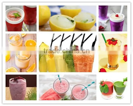 With Low Price Hot Sale Professional Smoothie Slush Machine,Fruit Smoothie Machine(ZQR-2X)