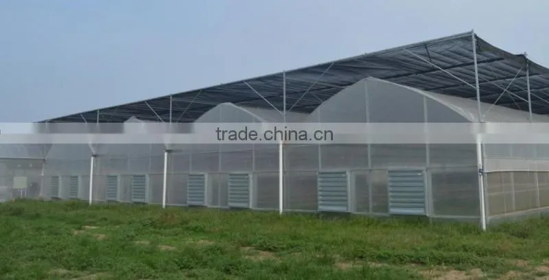 plastic film tunnel greenhouse