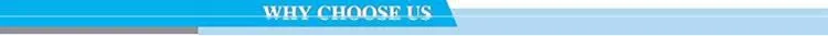 Toprank Durable Hot Selling Polyester Mesh Storage Bag Zipped Clothes Travel Organizer Bag Recycled Mesh Shoe Bag