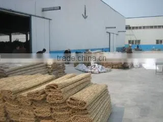 Youngsun Reed Farm company overview - view 1