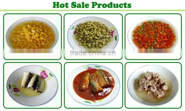 hot sale best canned mackerel 210g canned mackerel in oil from China