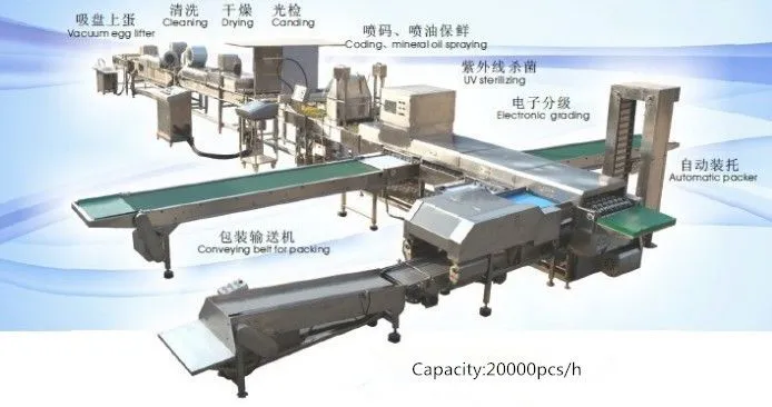 Egg Cleaning Sorting Packing Line