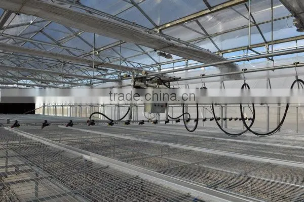 Greenhouse Water Filter System