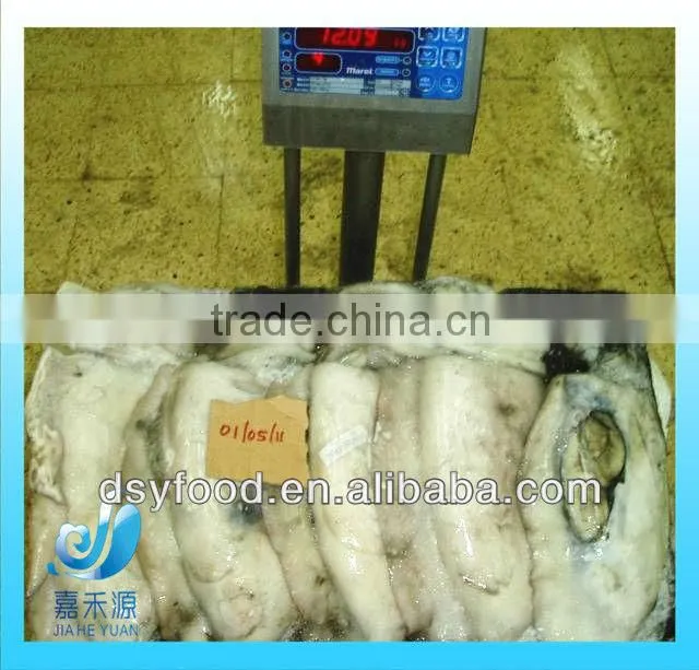 fresh frozen whole cuttlefish on sale
