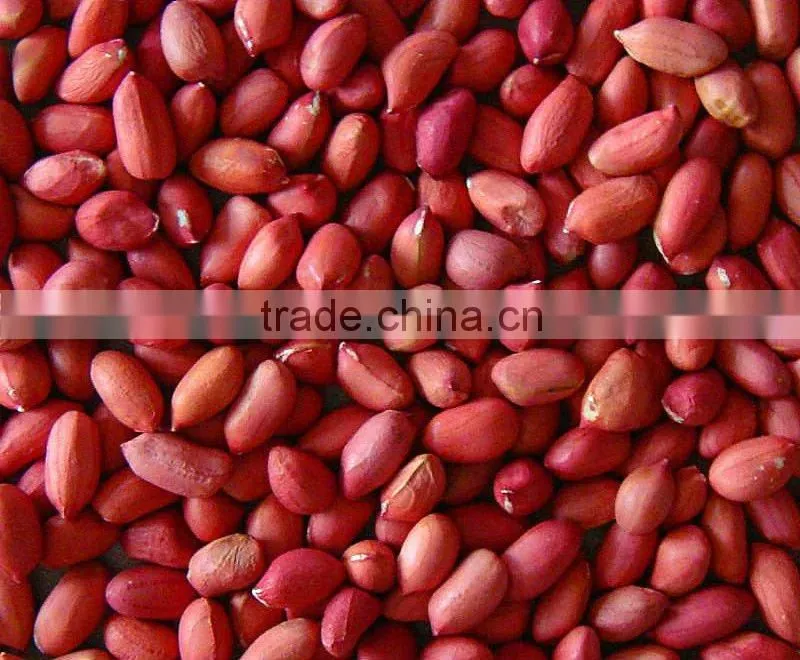 Best price washed peanut in shell for sale