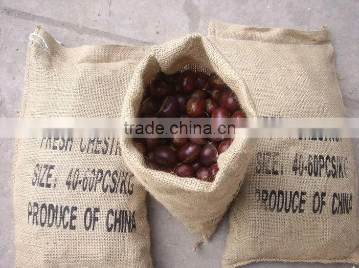 40-50 Dandong Chestnut, Lowest Price