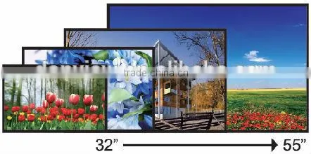 55" LCD Professional Monitor