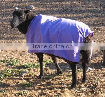 Breathable Sheep Coat