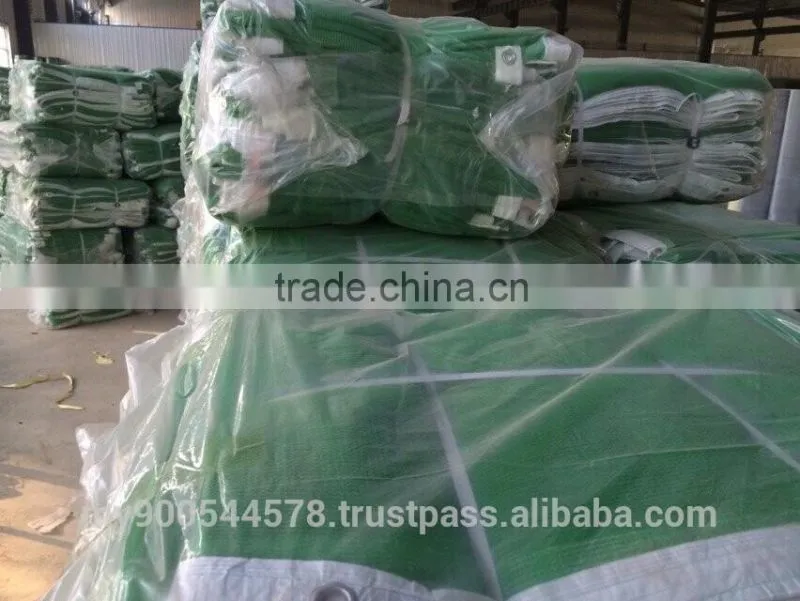 scaffold safety net