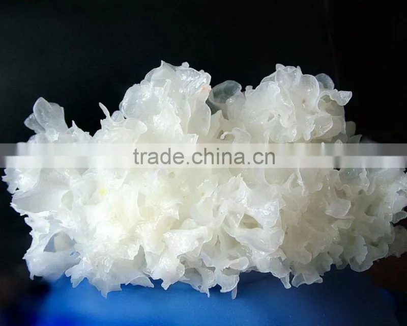 Top Quality Tremella Chinese White Fungus