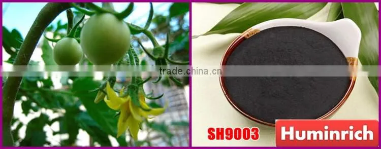 FAQ 39--What Kind Of Organic Fertilizer Can Be Used As Tomato Fertilizer?