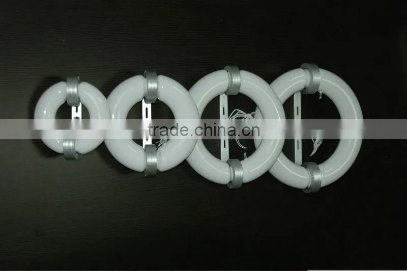 300w magnetic induction lamps