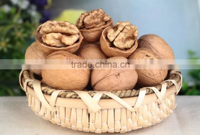 high quality xinjiang walnut thin shell walnuts
