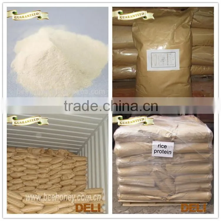 Food Quality Raw Rice Protein powder