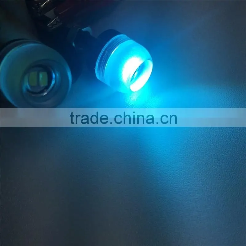 Jinxin License Plate Bolt Lights Black- Universal Truck and All Motorcycles