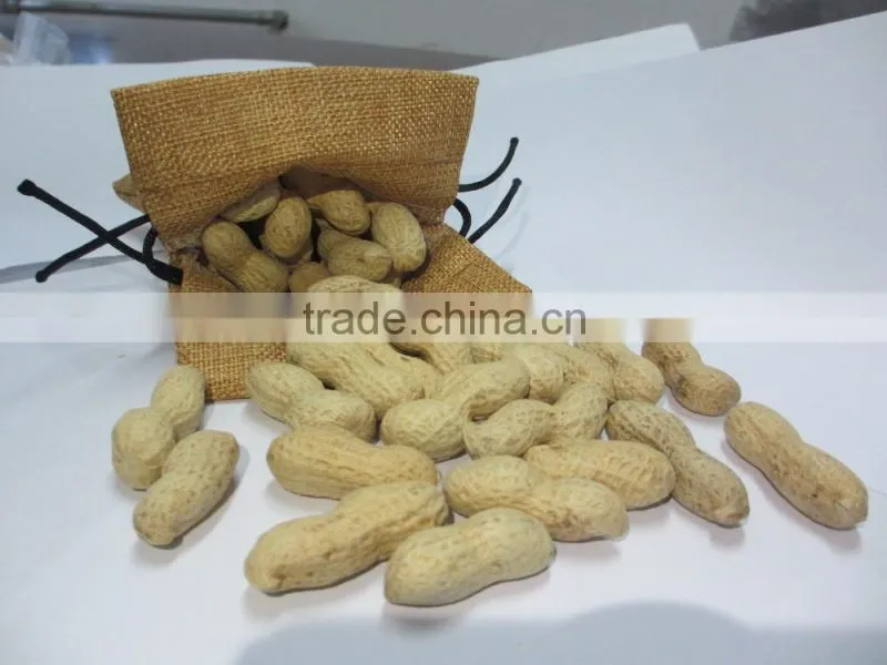 Roasted salted peanuts in shell