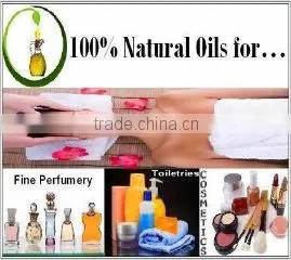 Dbr Exports India company overview - view 3