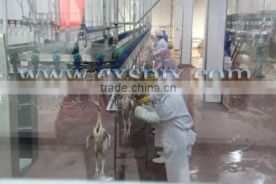 500 chicken slaughter line slaughterhouse/poultry abattoir