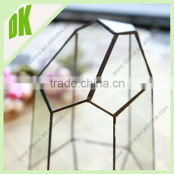 it`s fragile and afraid of hard sun light or big amount of water//geometric glass air plants tillandsia terrarium