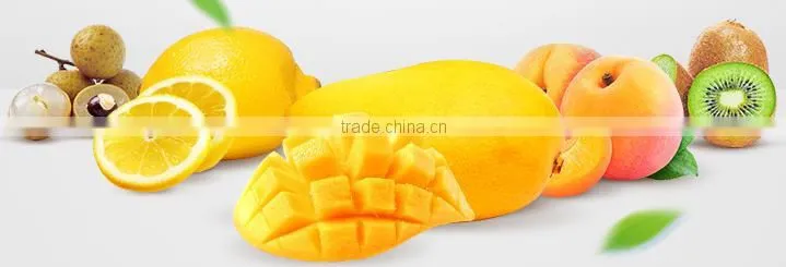 Automatic China many buyer choice stainless steel catfish drying machine