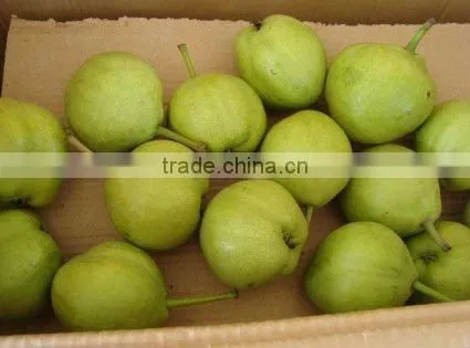 fresh pear of 2012 -- varieties,size,packing on your need