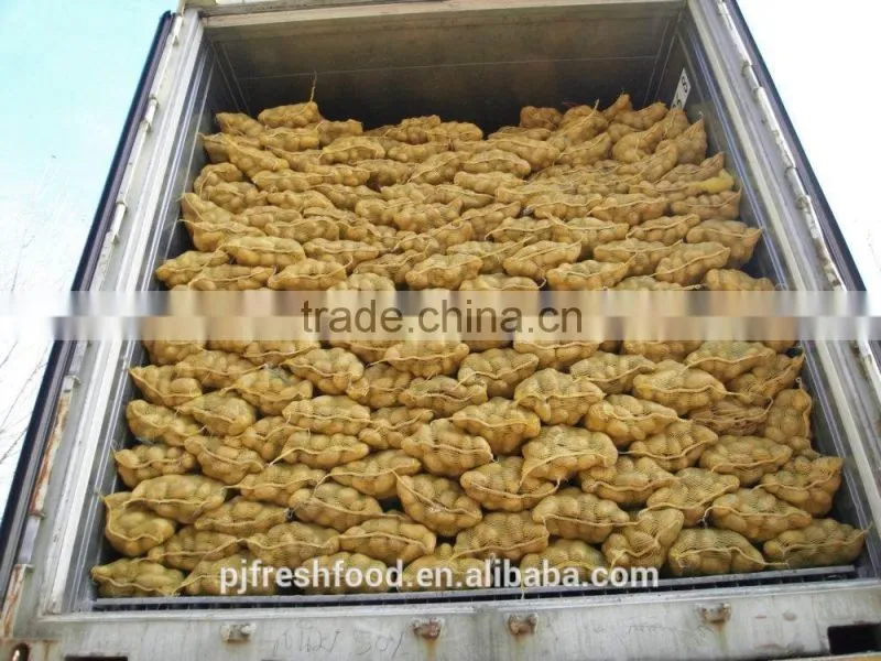 2015 Autumn Crop Potato