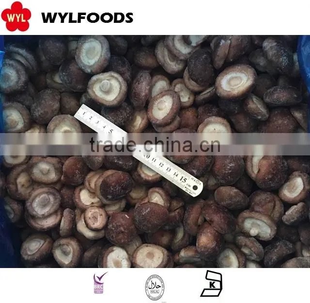 Good price frozen baby oyster mushroom 2016 with Grade A