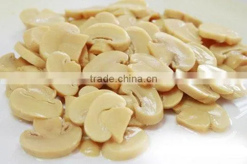 champignon mushroom