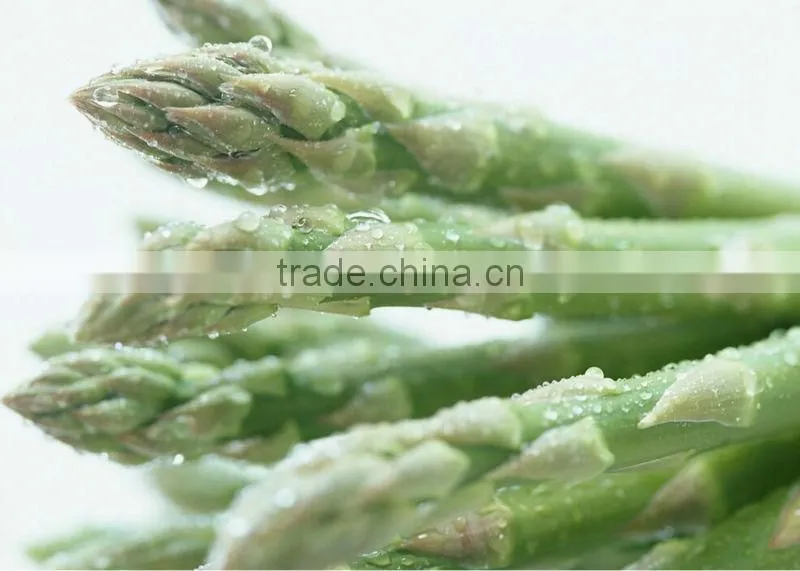 IQF green asparagus