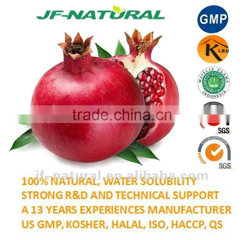 100% natural pomegranate juice powder ISO, GMP, HACCP, KOSHER, HALAL certificated.