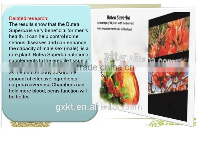 Energy tonic tea improve sex ability improve immunity