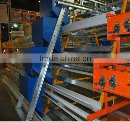 Automatic chicken feeding machine