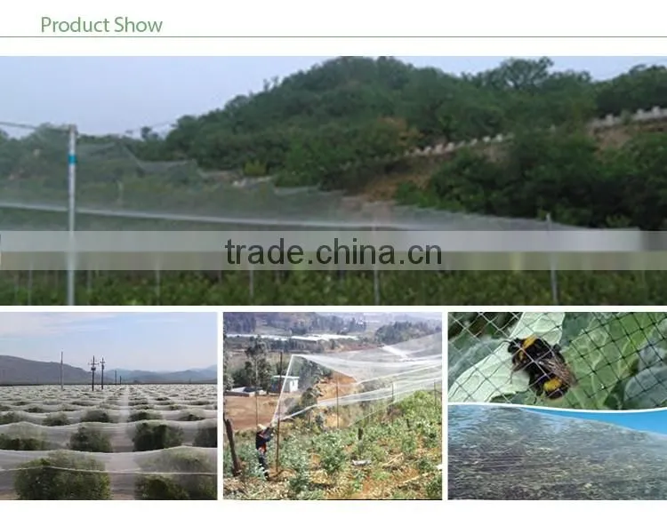 Fashion Style Agriculture Virgin Hdpe Plastic Bee Net