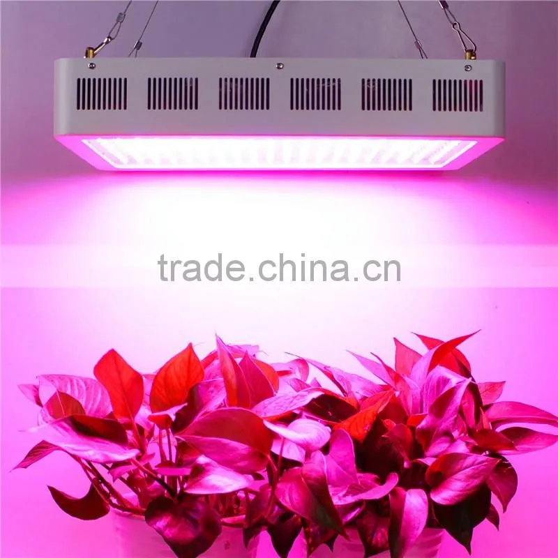 High Power 100X3W LED Grow Lights for hydroponic plants