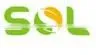 garden flowers flora felt living wall planter vertical garden supplies