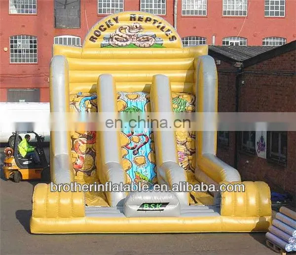 Amusement Park Inflatable Rocky Reptiles China Supplier
