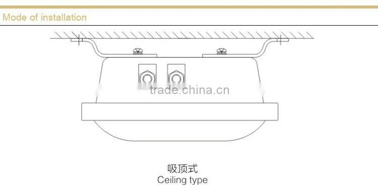 NFC9175 Longevity Ceiling Light