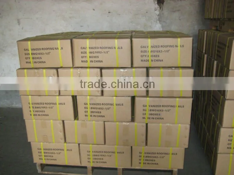 electro galvanized twisted shank roofing nails