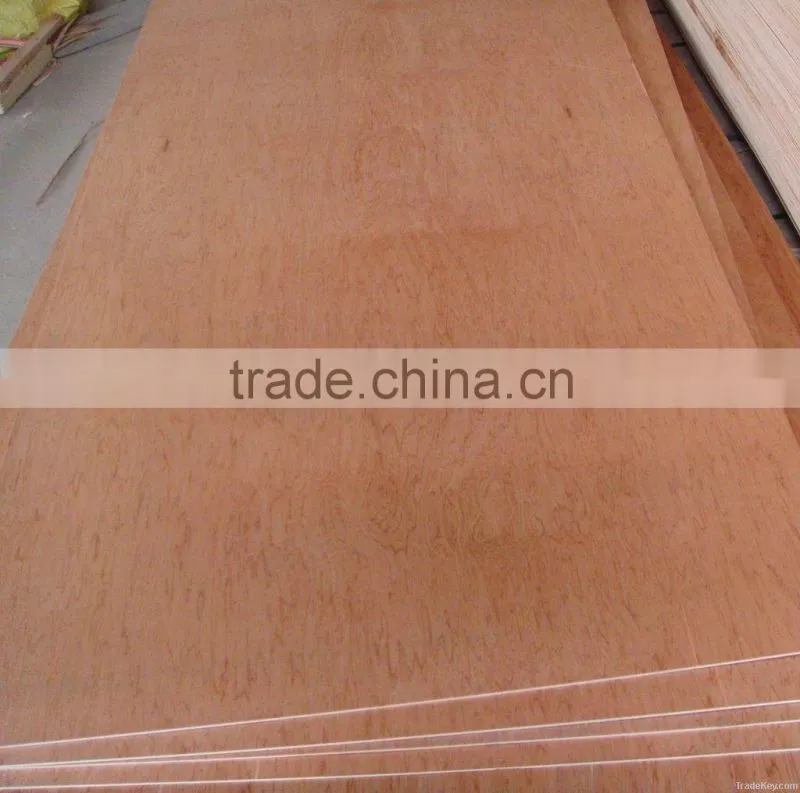 Laminated Birch plywood 5mm for furniture ,decoration USA Russian market