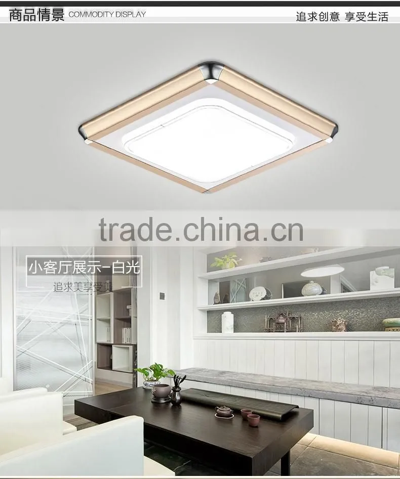 Color changing led Ceiling lamp flush mounted ,Kitchen ceiling light