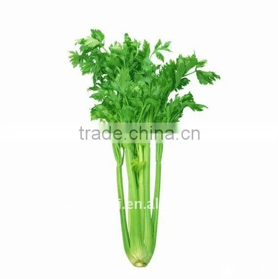 2013 Multifunction Industrial vegetable cutter