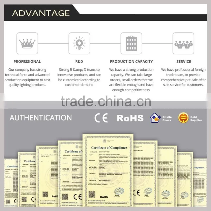 CE ListL LED Wall Light